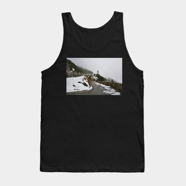 Autumn on the Slopes of Mangrt Tank Top by jojobob